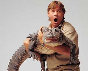 Crocodile hunter 9