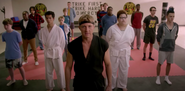 Cobra-Kai