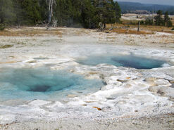 Spasmodic Geyser