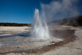 Plume Geyser