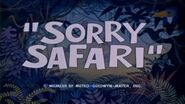 SorrySafari