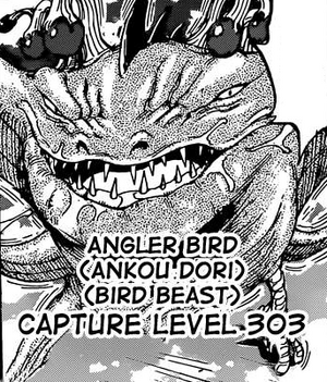 The Angler Bird