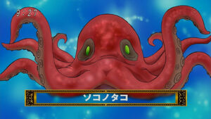 Bottom Octopus