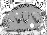 Crab Pig (manga)