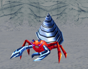 DrillHermitCrab2