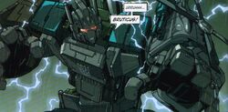 DWBruticus