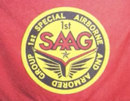 SAAG's logo