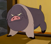 Napoleon (Animal Farm)