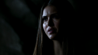 TVD308-016-Elena