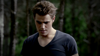 TVD302-039-Stefan