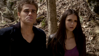 TVD220-089-Stefan-Elena