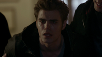 TVD117-028-Stefan