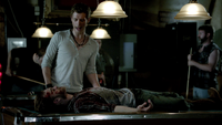 TVD301-164-Ray-Klaus