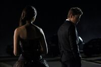 3x14 Dangerous Liaisons~Elena-Stefan