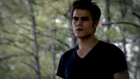 TVD302-087-Stefan