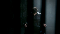 TVD308-053-Stefan