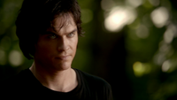 TVD302-106-Damon