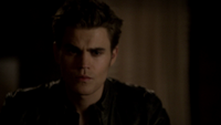 TVD222-113-Stefan