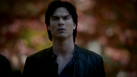 TVD311-013~Stefan-Damon