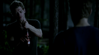 TVD302-175-Klaus~Stefan