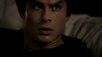 TVD222-172-Damon