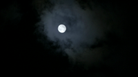 TVD220-133-Full Moon