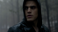 TVD117-022-Stefan