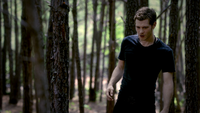 TVD302-091-Klaus