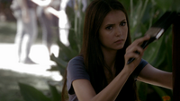 TVD205-045-Volunteer Day-Elena~Stefan