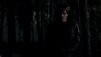 TVD109-113-Damon