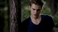 TVD302-067-Stefan