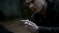 TVD220-123~Matt-Wooden Bullets-Damon