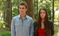 Elena-stefan-woods