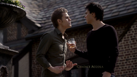 TVD220-020-Stefan-Damon