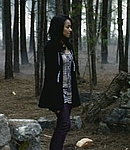 Bonnie in the woods