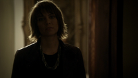 TVD208-169-Rose