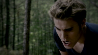 TVD302-085~Ray-Stefan