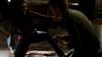 TVD220-056-Elena-Stefan