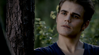 TVD302-070-Stefan