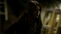 TVD117-100-Elena