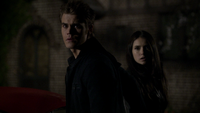 TVD220-138-Stefan-Elena