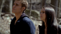 TVD220-104-Stefan-Elena