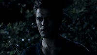 TVD302-157-Stefan