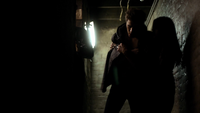 TVD117-104-Stefan-Elena