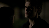 TVD220-140~Elena-Stefan