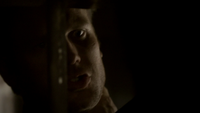 TVD222-063-Alaric