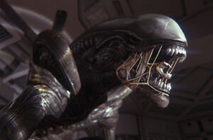 Alien-Isolation-6