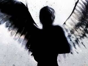 A silhouette of a fallen angel.