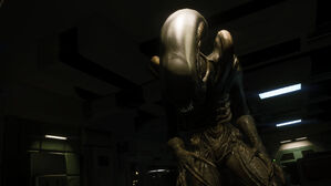 Alien-isolation-gallery-7