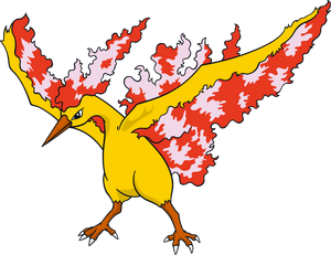 Moltres (Shadow Pokémon)